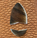 Calf Hair Replacement Rest & Strike Plate.
